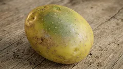 Si possono mangiare le patate con macchie verdi? Facciamo chiarezza una volta per tutte