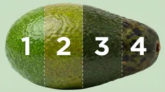 Le 4 fasi di maturazione dell’avocado: guida pratica per toast, insalate e salse