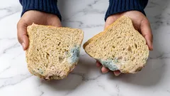 Si può mangiare un alimento se si taglia via solo la muffa?